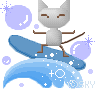 サーフィンをする猫