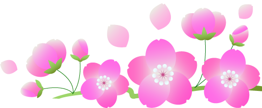 ピンク色の桜のクリップアート、挿絵画像
