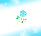 青いバラのスマートフォン壁紙
