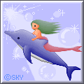 イルカのアニメ7