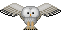 ふくろう owl