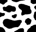 白地に黒色の牛柄のスマートフォン壁紙