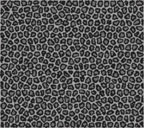 灰色背景のヒョウ柄のスマートフォン壁紙