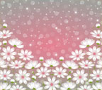 ピンク背景のコスモスと光の玉のスマートフォン壁紙