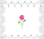 赤いバラとレースと真珠のラインのスマートフォン壁紙