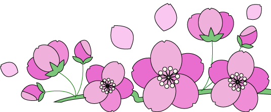 桜の線画像、WMF画像、クリップアート、挿絵画像