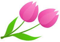 右向きのピンク色のチューリップのクリップアート、挿絵画像