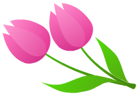 左向きのピンク色のチューリップのクリップアート、挿絵画像