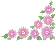 ガーベラのクリップアート、挿絵