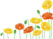 ポピーのクリップアート、挿絵
