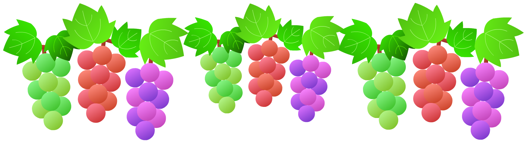 葡萄ラインのPNG画像