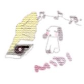 midi.jpg